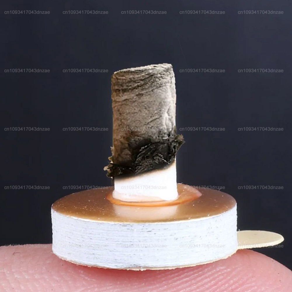 50 Stück Moxibustions-Röhrchen – Thermal Paste Bewertung und Preis